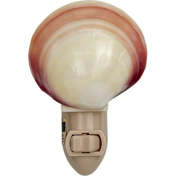 Tiger Clam Polished Natural Shell LED Night Light