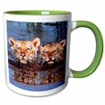 thumbnail image 1 of 3drose, Tiger Cubs, 11oz Two-tone Green Mug, 1 of 6