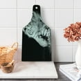 thumbnail image 1 of Tiger Cutting Board, Black and White Image of Large Cat Playing with Water Cool Animals Fun Hunter, Tempered Glass Cutting and Serving Board, Wine Bottle Shape, Black Pale Grey, by Ambesonne, 1 of 5