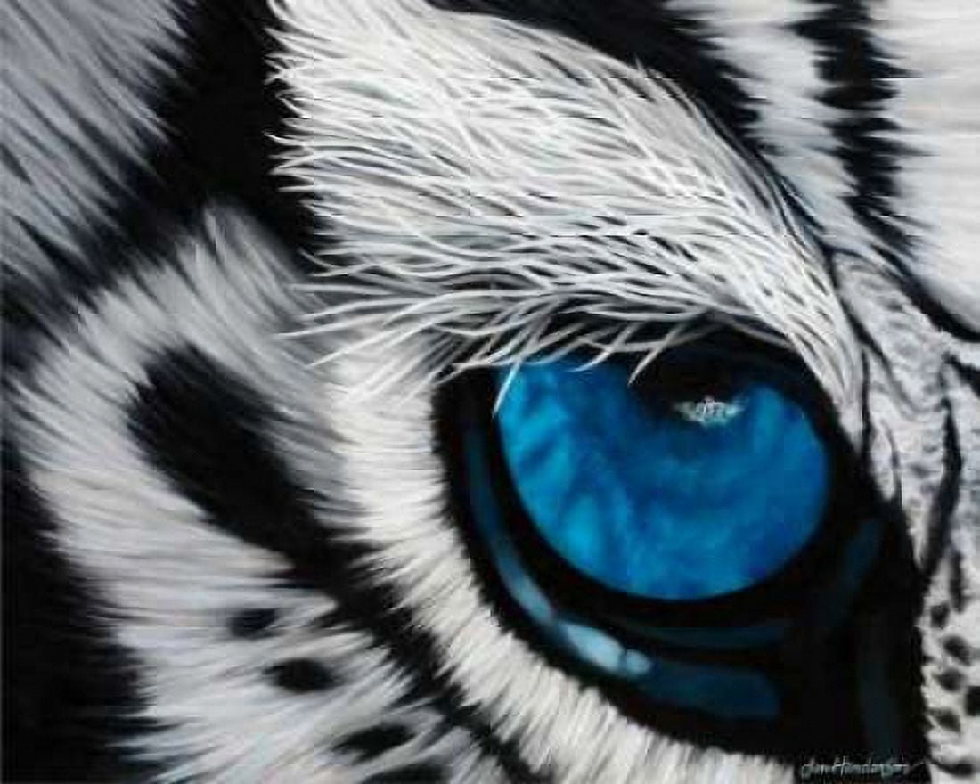 Tiger Eye Canvas Art - Jan Henderson (24 x 30)