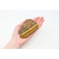 thumbnail image 1 of Tiger Eye XL Rough Raw Chunk - High Grade A Quality - Healing Crystals, Gold Tiger eye, Chakra, Rough Tiger's Eye, Meditation, 1 of 4