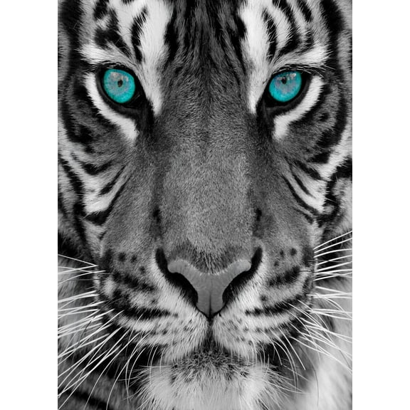 Tiger Fabric Print Shower Curtain