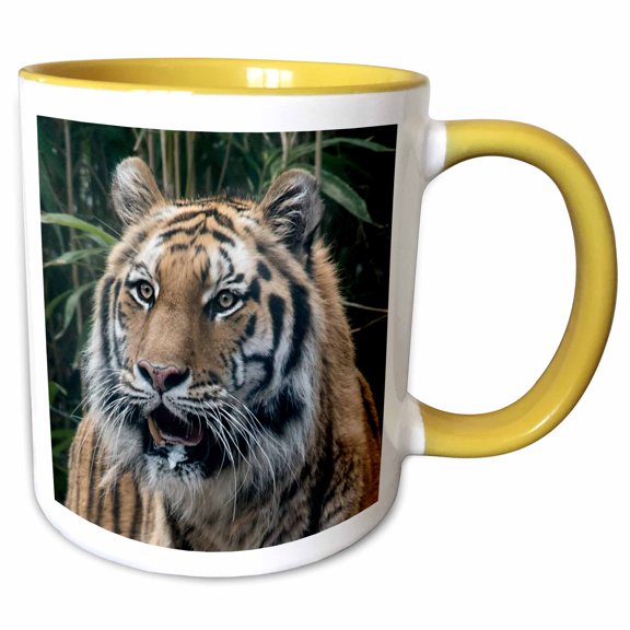 3drose, Tiger Face, 11oz Two-tone Yellow Mug