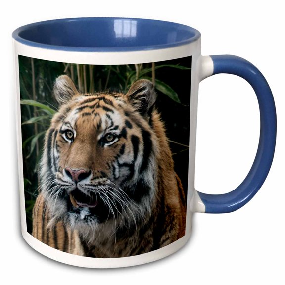 3drose, Tiger Face, 15oz Two-tone Blue Mug