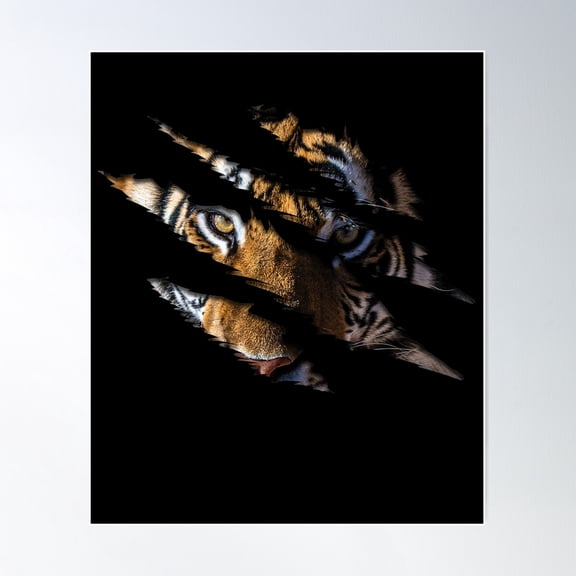 Tiger Face Claw Effect Big Cat Tiger Claw Slash Tiger Lover Gear Poster Wall Art, Modern Wall Decor For Living Room Bedroom, 8x12 UNFRAMED