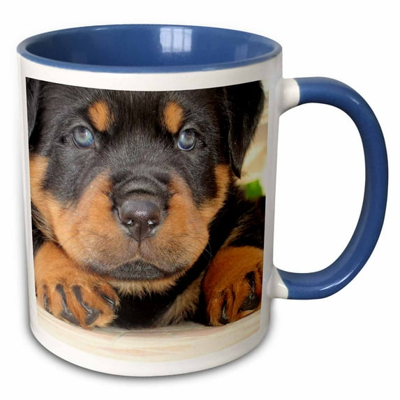 3drose, Tiger Feet - Rottweiler, Rottweilers, Rottie, Rottie Owner, Rottweiler Puppy, Rottweiler Puppies, 15oz Two-tone Blue Mug