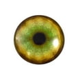 thumbnail image 1 of Tiger Glass Eyes, 1 of 3
