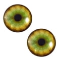 thumbnail image 1 of Tiger Glass Eyes, 1 of 4