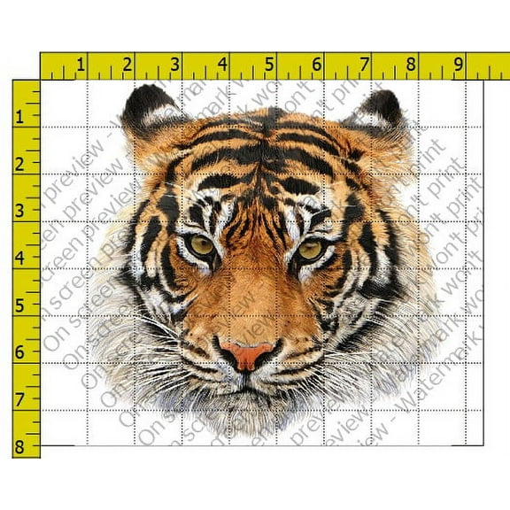 Tiger Image Edible Cake Topper and Tiger Stripes Edible Cake Side Borders 2 Frosting Sheets