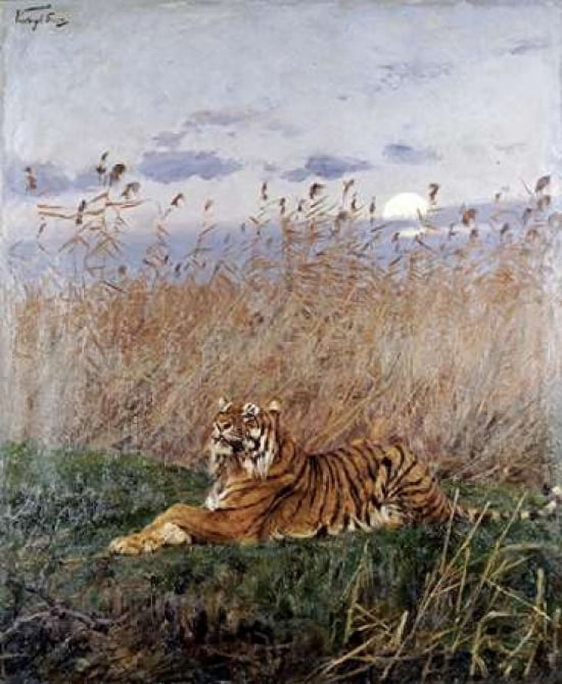 Tiger In The Rushes Canvas Art - Geza Vastagh (20 x 24)