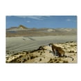 thumbnail image 1 of Tiger On The Watch' Canvas Art by Gerome, 1 of 3