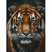 Tiger Portrait Decorative Painting/Canvas Art Suitable for Living Room  Bedroom  Office  Study  Dining Room  Den  Hallway  Hotel  Powerful Tiger Painting Wildlife Art Big Cat Portrait.