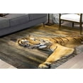 thumbnail image 1 of Tiger Rugs, Office Rug, Man Cave Rug, Animal Rug, Outdoor Rug, Door Mat, Pattern Rug, Personalized Gifts, Anti-Slip Carpet, Thick Rug, 3.3'x6.5' - 100x200 cm, 1 of 8