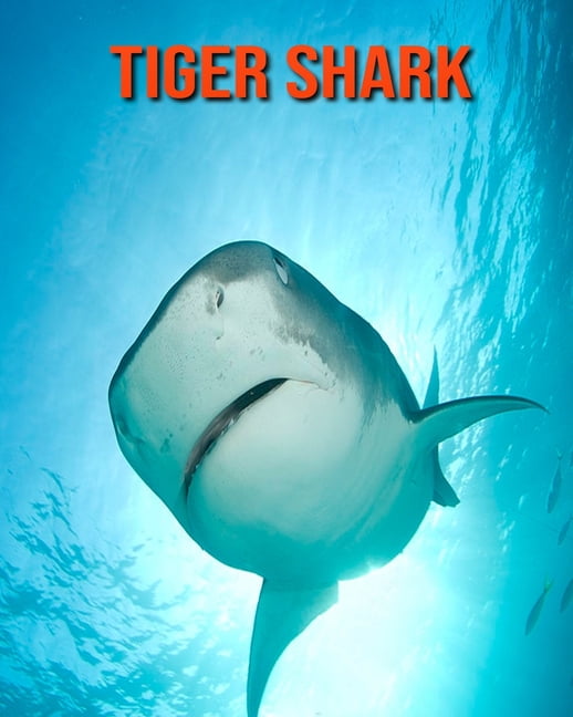 Tiger Shark Facts For Kids: Pictures, Information & Video.