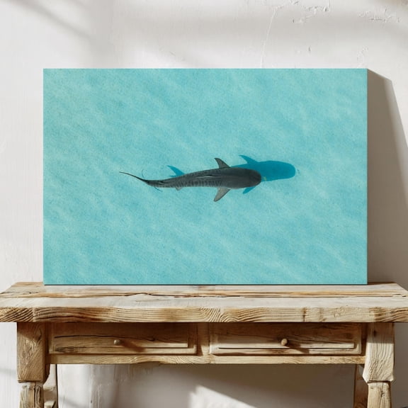 Tiger Shark In Shallow Water, Shark Lover, Ocean Lover Wall Art, Beach House Decor, Available As Or Poster, Stretched Canvas Size 12x18