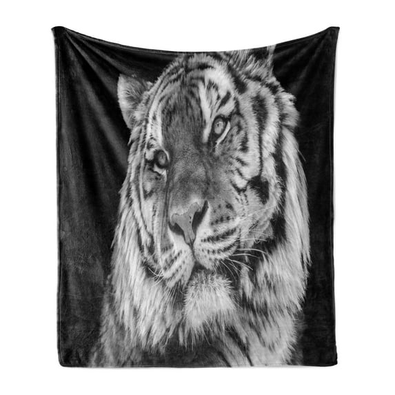 Tiger Soft Flannel Fleece Blanket, Close-up Photo of a Wild Feline Beast with an Intense Gaze Strength of a Hunter, Cozy Plush for Indoor and Outdoor Use, 60" x 80", Pale Grey Black, by Ambesonne
