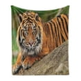 thumbnail image 1 of Tiger Soft Flannel Fleece Throw Blanket, Noble Beast Crouching on a Rock Sumatrian Large Cat Nature Photography, Cozy Plush for Indoor and Outdoor Use, 60" x 80", Multicolor, by Ambesonne, 1 of 5