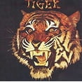 thumbnail image 1 of Tiger - Tiger - Music & Performance - CD, 1 of 1