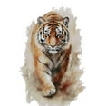 thumbnail image 1 of Tiger, Walks in Counted Cross Stitch Kits, 14ct Cotton, 150x220 Stitch 26x40cm Counted Cotton Tiger Cross Stitch Kits, 1 of 4