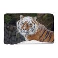 Tiger Wildlife Animal Bathroom Rug Sets Natural Forest NonSlip Bath