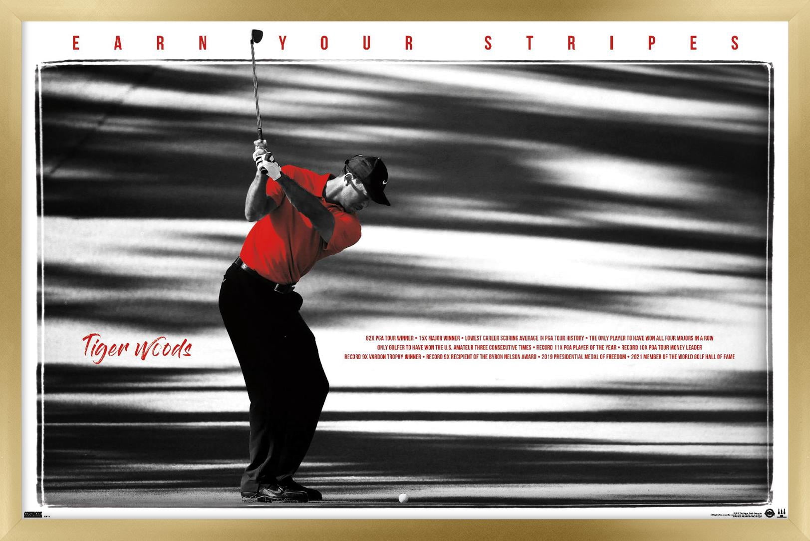 Tiger Woods - Earn Your Stripes 24.25" x 16.5" Framed Poster, by Trends International