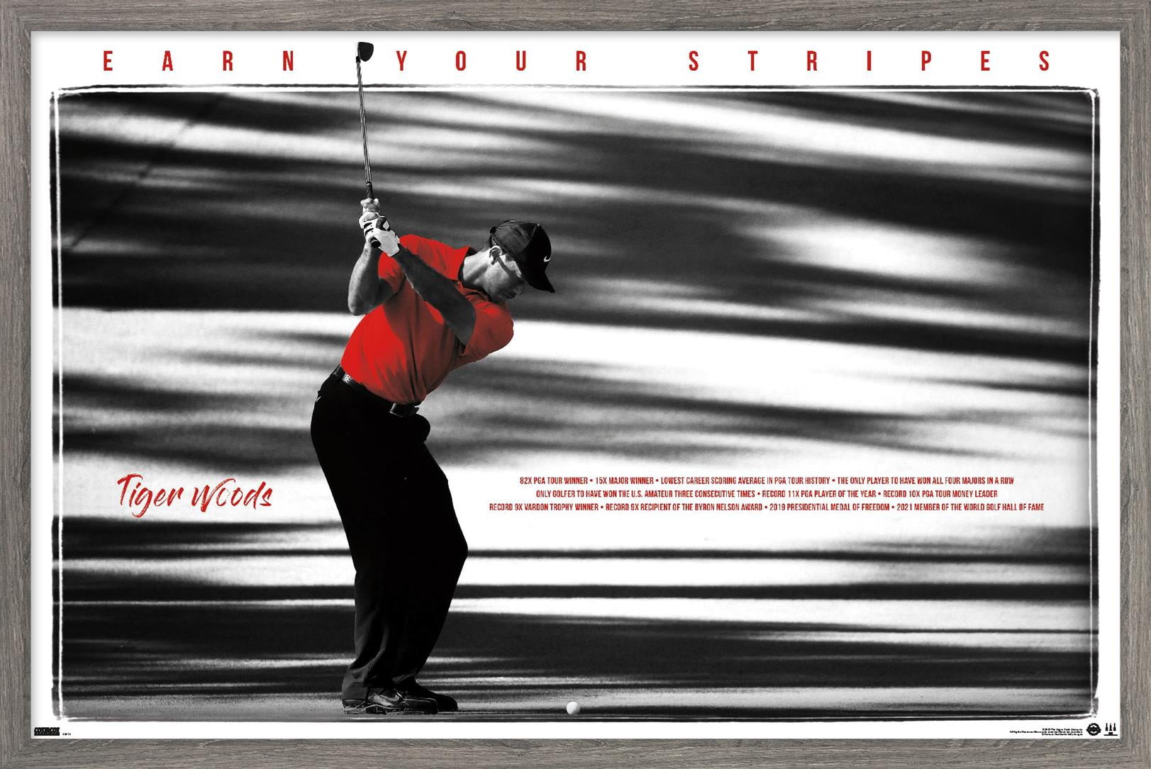 Tiger Woods - Earn Your Stripes Wall Poster, 14.725" x 22.375" Framed