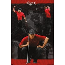 Tiger Woods - Sketch 22.37" x 34" Poster, by Trends International