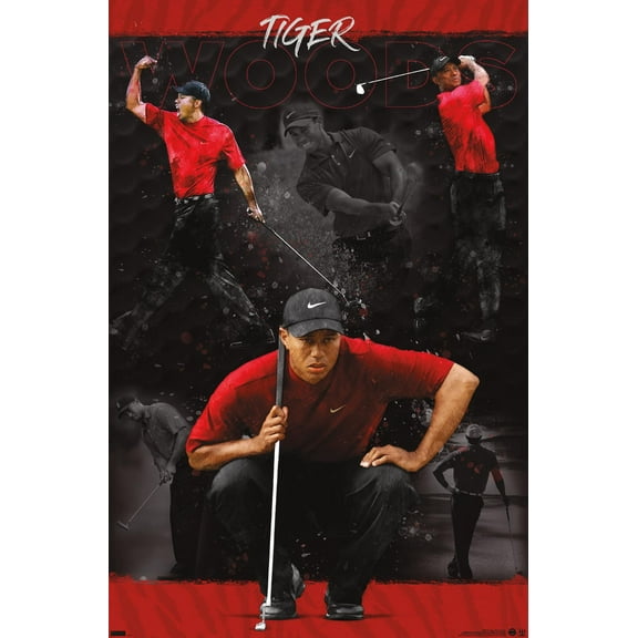 Tiger Woods - Sketch 22.37" x 34" Poster, by Trends International