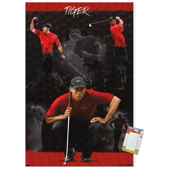 Tiger Woods - Sketch Wall Poster, 14.725" x 22.375"