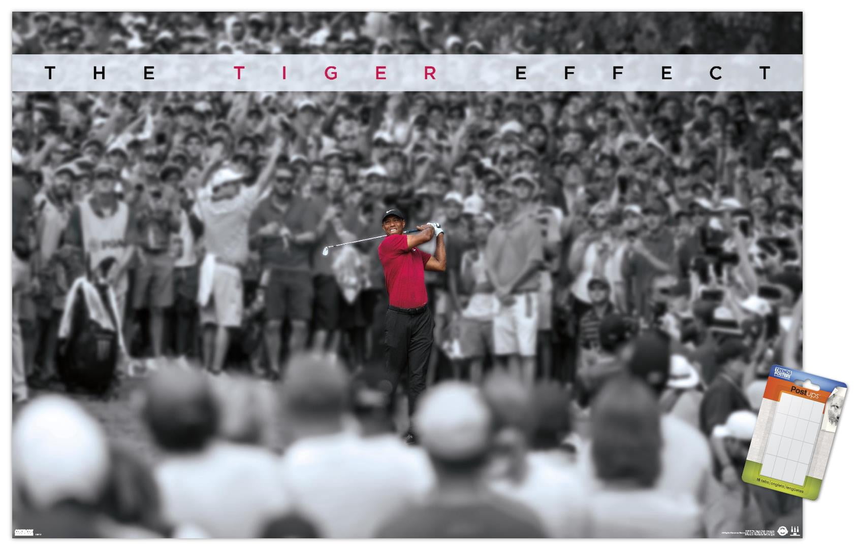 Tiger Woods - The Tiger Effect 22.37" x 14.72" Poster, by Trends International