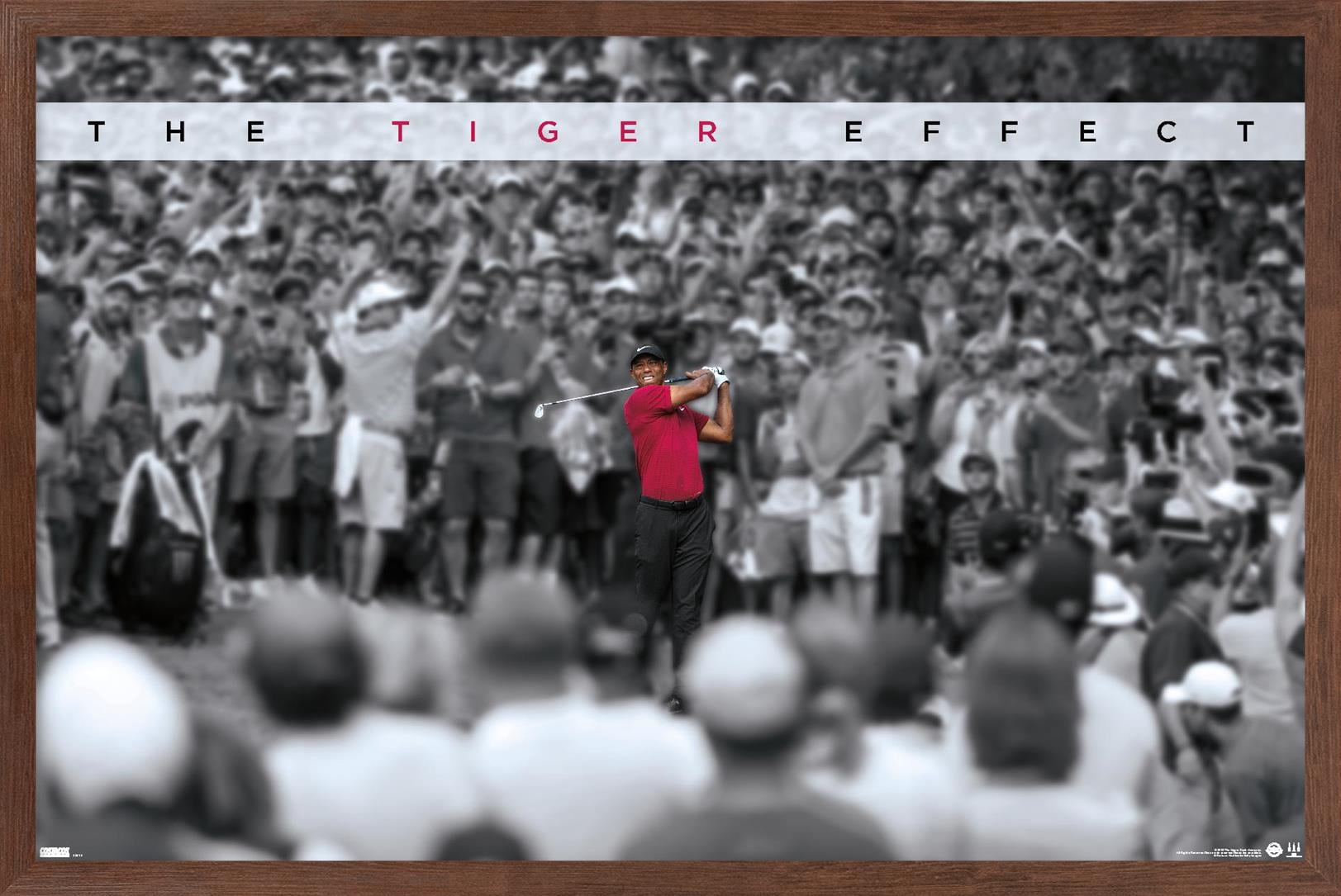 Tiger Woods - The Tiger Effect 24.25" x 16.5" Framed Poster, by Trends International