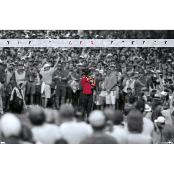 Tiger Woods - The Tiger Effect 34" x 22.37" Poster, by Trends International