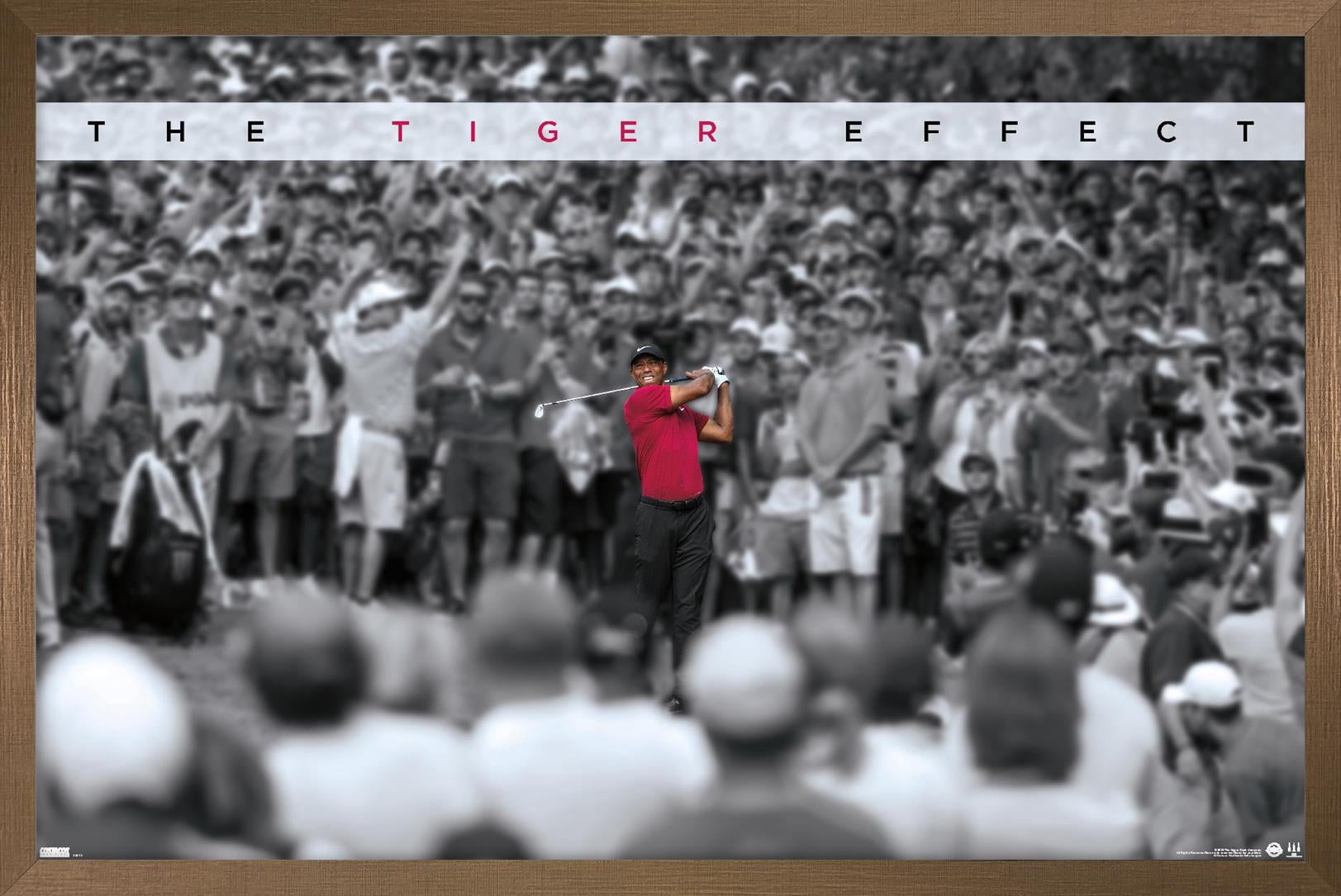 Tiger Effect Tiger Woods - The Tiger Effect Wall Poster, 22.375