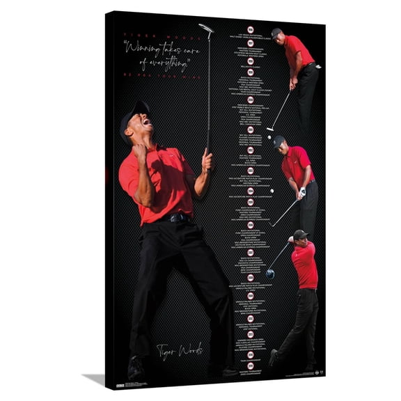 Tiger Woods - Timeline Canvas Wall Poster, 22.375" x 34"