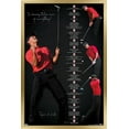 thumbnail image 1 of Tiger Woods - Timeline Wall Poster, 22.375" x 34" Framed, 1 of 6