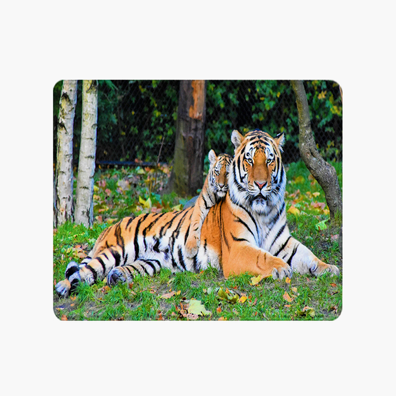 Tiger and Cub Mouse Pad 9.44 x 7.87 Inches - Wildlife Print for Desk Use - Soft Polyester Fiber