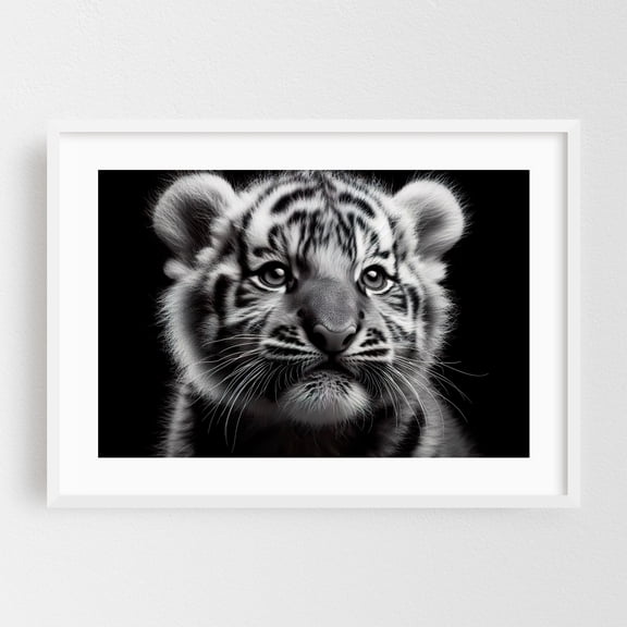 Tiger cub in close-up 02 - Photography Tiger Animal Wildlife Portrait Black and White Nature Illustration White Framed Wall Art Print 5 x 7 inches