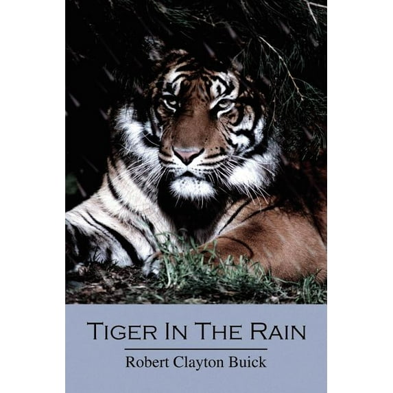 Tiger in the Rain