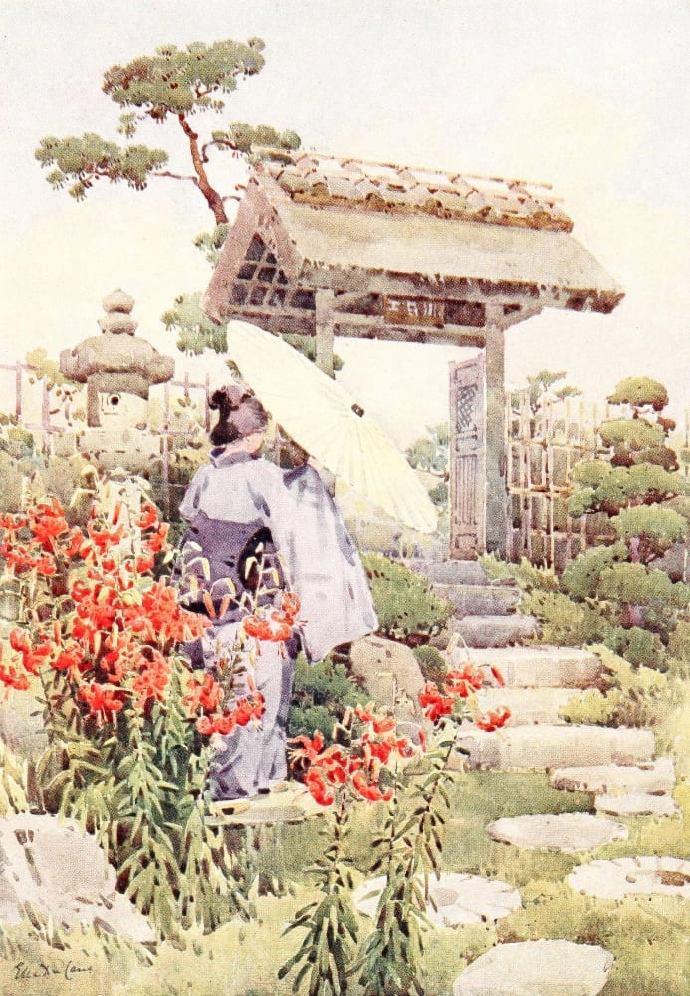 Tiger lilies Flowers & Gardens of Japan 1908 Canvas Art - Ella Du Cane (18 x 24)