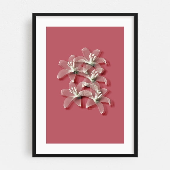 Tiger lilies line art - Photography Black Framed Wall Art Print 24 x 36 inches