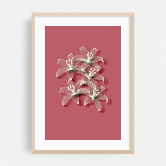 Tiger lilies line art - Photography Oak Framed Wall Art Print 5 x 7 inches