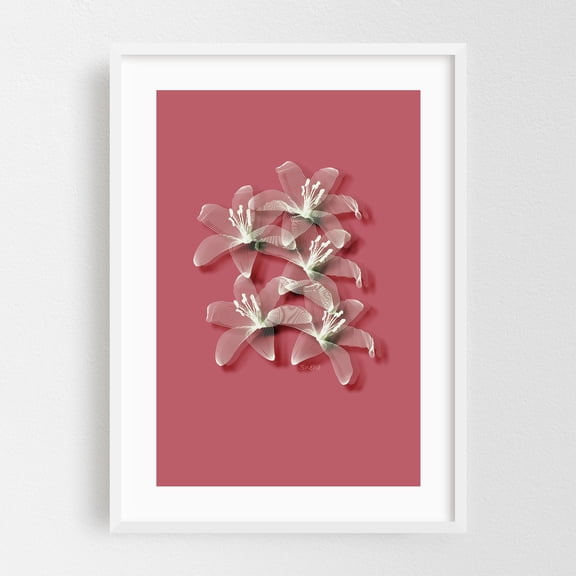 Tiger lilies line art - Photography White Framed Wall Art Print 24 x 36 inches