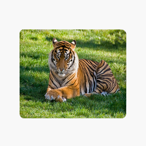 Tiger on Grass Print Mouse Pad 9.44 x 7.87 Inches Polyester Fiber Desk Accessory for Office and Gaming