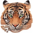 thumbnail image 1 of Tiger, 1 of 1