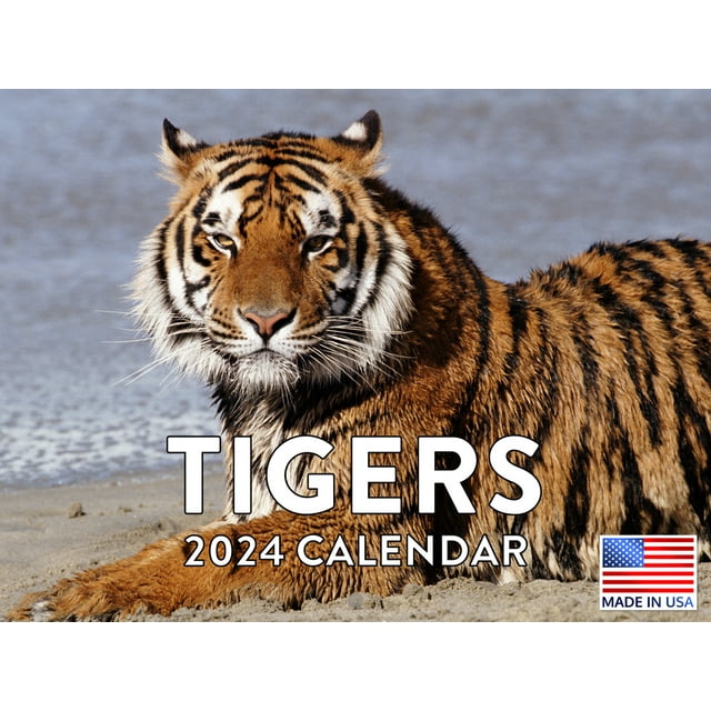 Tigers 2024 Wall Calendar
