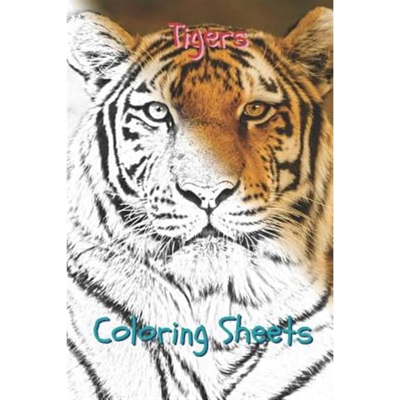Tigers Coloring Sheets: 30 Tigers Drawings, Coloring Sheets Adults Relaxation, Coloring Book for Kids, for Girls, Volume 1 (Paperback)