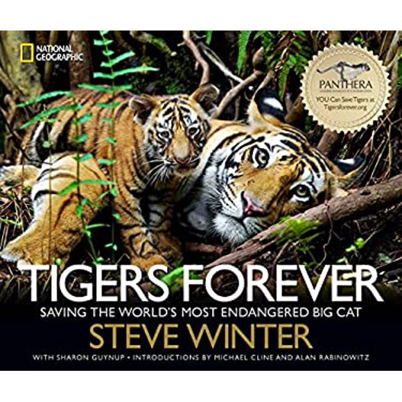 Pre-Owned Tigers Forever : Saving the World's Most Endangered Big Cat 9781426212406