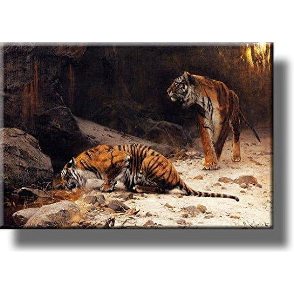 Tigers at Drinking Pool Picture on Stretched Canvas, Wall Art Dcor, Ready to Hang!