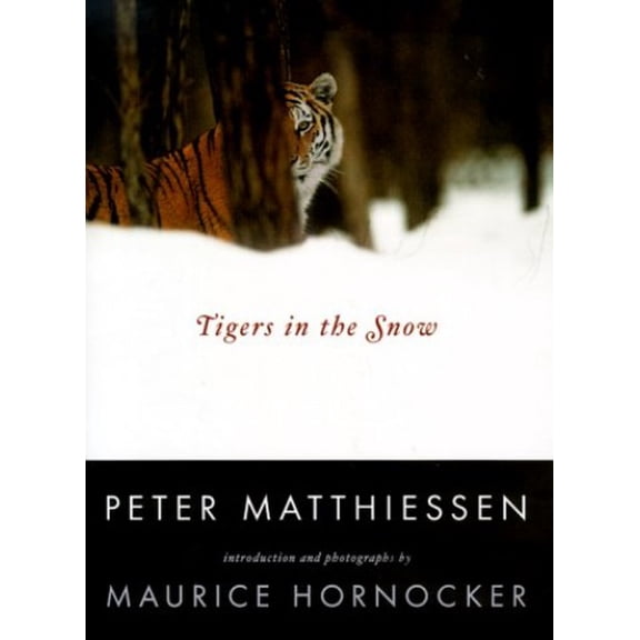 Pre-Owned Tigers in the Snow (Hardcover) 0865475768 9780865475762