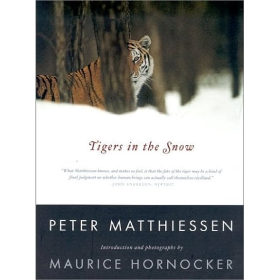 Pre-Owned Tigers in the Snow (Paperback) 0865475962 9780865475960